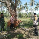 Bhabinkamtibmas Batulayar Giatkan Pertanian Pekarangan Warga