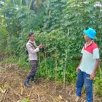 Bhabinkamtibmas Desa Rumak Aktif Edukasi Warga Soal Swasembada Pangan