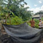 Bhabinkamtibmas Gelogor Dorong Warga Tanam Pangan di Halaman Rumah