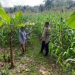 Bhabinkamtibmas Sekotong Timur Dampingi Petani Dukung Ketahanan Pangan