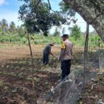 DDS Polsek Sekotong Dorong Pemanfaatan Lahan Pertanian Warga