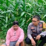 Kolaborasi Polri dan Warga Eyat Mayang: Pilar Ketahanan Pangan Lokal