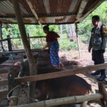 Polri Dorong Swasembada Pangan di Batulayar Barat