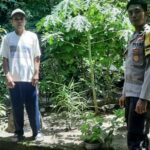 Batulayar Tunjukkan Peran Aktif Warga dalam Ketahanan Pangan Lokal