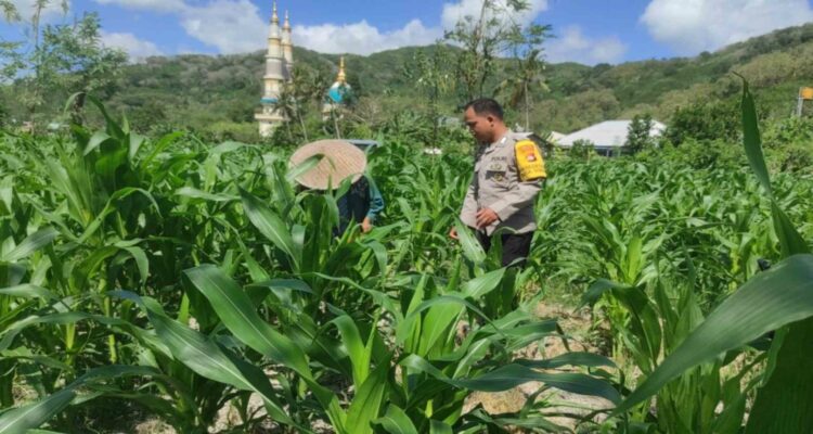 Langkah Polsek Gerung Perkuat Kemandirian Pangan