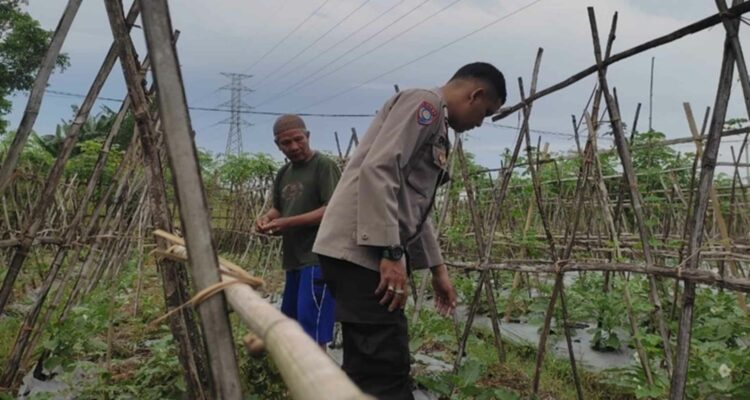 Polsek Sekotong Dampingi Petani Kuranji Dalang